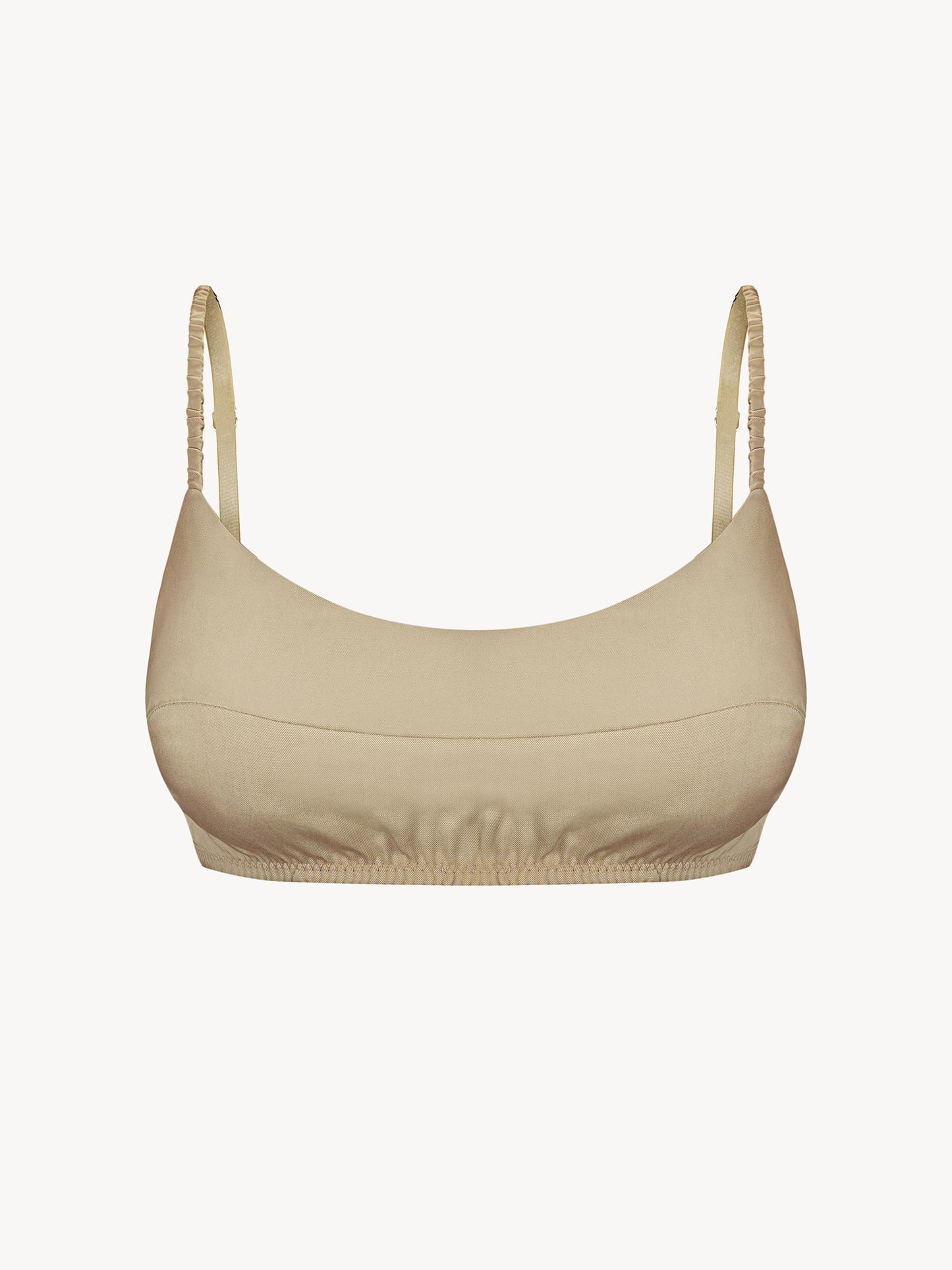 Eucalyptus top in sand