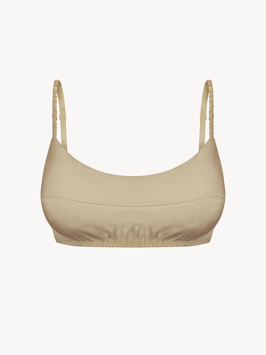 Eucalyptus top in sand