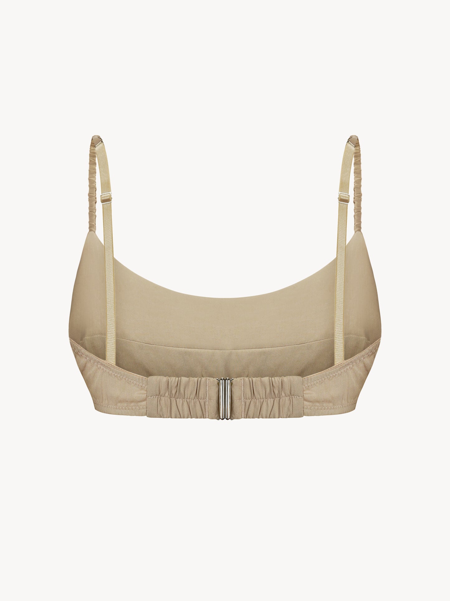 Eucalyptus top in sand