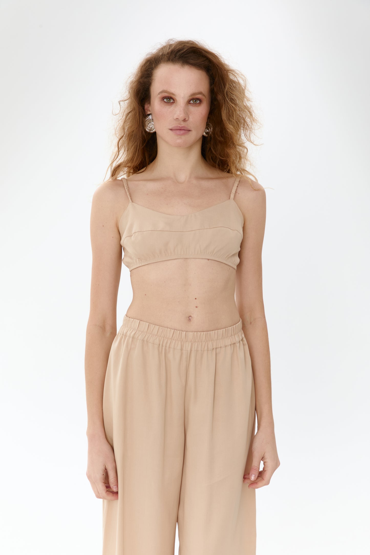 Eucalyptus top in sand